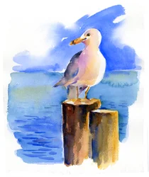Gaivota na doca, 2014, (aquarela)