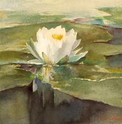 Water Lily in Sunlight, ca. 1883.