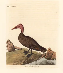 paisagem
