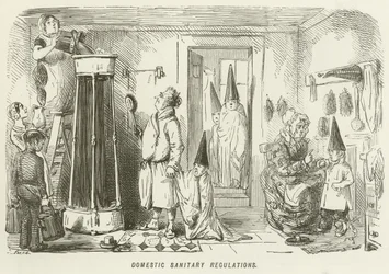 Regulamentação Sanitária Doméstica