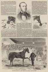 Sr. JS Rarey, o American Horse-Tamer