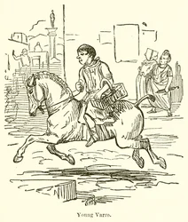 Young, Varro