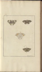 Desenhos de Lindsay Vol. VI, 42