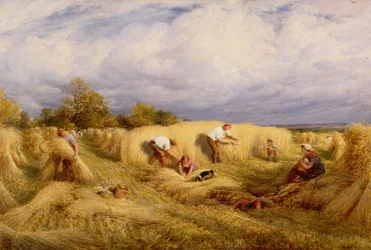 Colheitadeiras, 1855