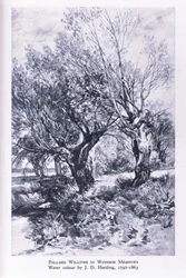 Woodcutters on the outskirts of Windsor Forest, Nature in Britain publicado pela Collins