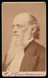 Retrato de Paul Ansel Chadbourne 1823-1883, Entre 1872 e 1875.