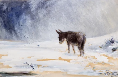 Burro na neve