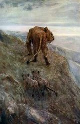 No alerta - leoa e filhotes, c1878-1910, 1912.