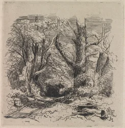 Um Caminho através da Madeira