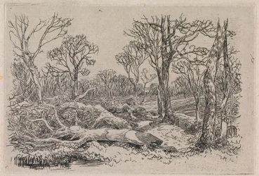 Madeira cortada, Burningham