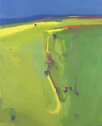 Downs de verão, 2000