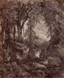 Solitude,1865 (foto)