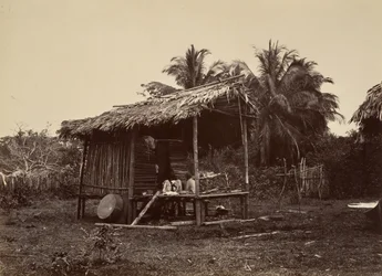 Cenário Tropical, Cabana Nativa, Turbo, 1871.