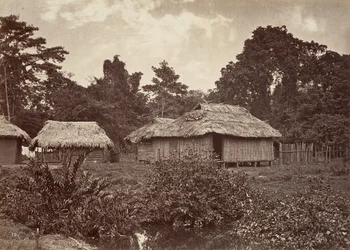 Cenário Tropical, Turbo Village, 1871.