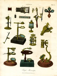 Microscópios simples do início do século XIX