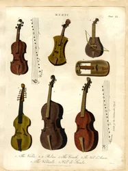 Instrumentos de corda da música clássica