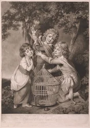 Filhos de Walter Synnot