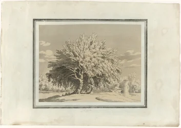 Aspen