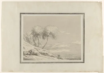 bétula