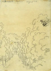 Woodland, de um álbum de traçados