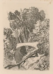 Estudos estão Placa livre 11 Parsons Ponte Cardingshire de 1838.