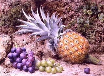 Um Abacaxi e Cachos de Uvas em um Banco Mossy