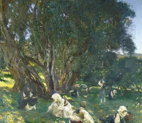 Apanhadores de azeitona albaneses