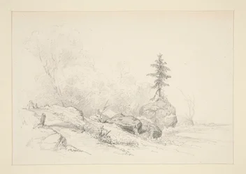 Paisagem
