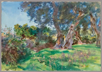Oliveiras, Corfu