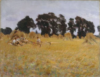 Ceifadores descansando em um campo de trigo, 1885
