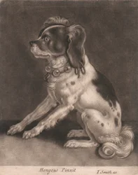 Um cão com uma coleira de sinos