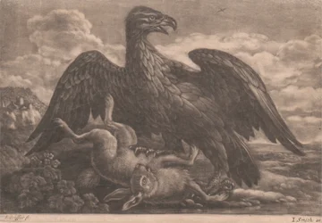 Águia e Lebre