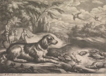 Cão de caça e faisões