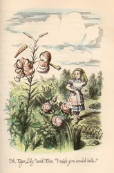Alice no País das Maravilhas e Através do Espelho, de Lewis Carroll, ilustrado por John Tenniel