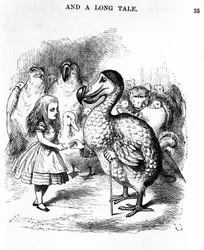 Alice no País das Maravilhas: encontro de Alice com um dodô de Lewis Carroll, ilustração da primeira edição de Tenniel