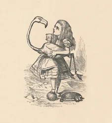 Alice tenta jogar croquet com um flamingo como malho, 1889