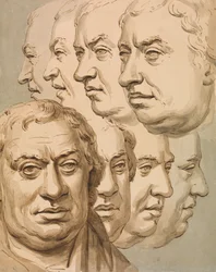 Estudos a partir do busto de Samuel Johnson