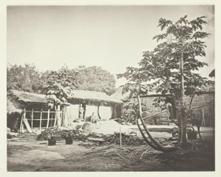 Uma habitação de Pepohoan