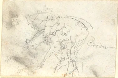 Cavalos