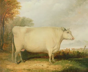 Retrato, de, um, prêmio, vaca