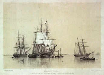 Estudos Marítimos, navios mercantes