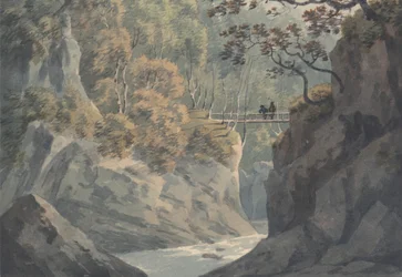 Ponte Alpina e Cenário Florestal perto de Pistil y Maw