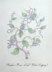 Encanador