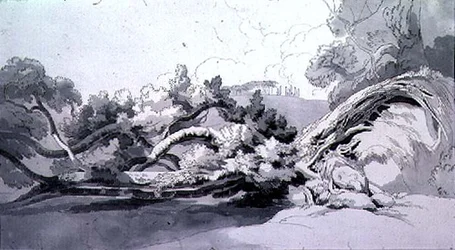 Paisagem, com árvore arrancada