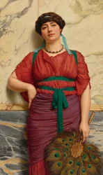 Eurypyle