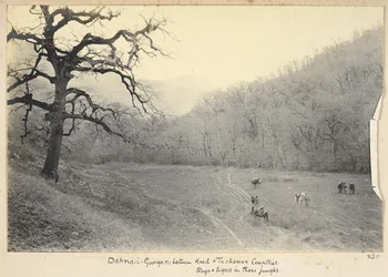 Província de Razavi Khorasan, Irão, c.1908 (foto a p/b)