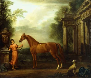 O árabe da castanha de Hampton Court, c.1726