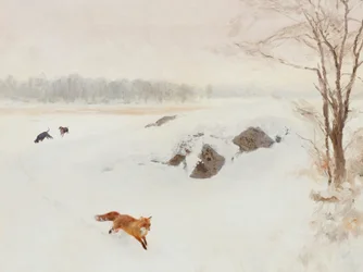 A Perseguição de Inverno da Raposa Vermelha