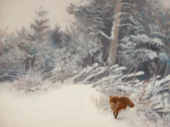 Raposa da Floresta de Inverno