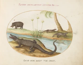 Placa 50: Um crocodilo(?), um hipopótamo(?), e dois lagartos com uma planta de papiro